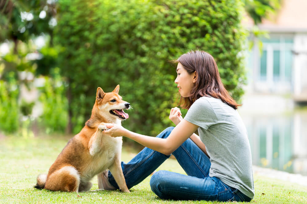 人と犬